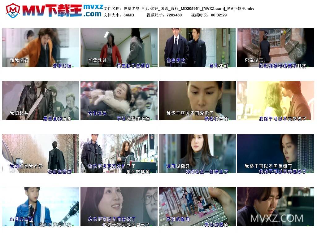 隔壁老樊-再见 你好_国语_流行_MD205951